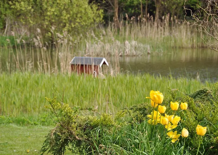 Albertsdorf Goldblick *